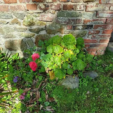 Clos St Vaast Pres Et Port * Saint-Vaast-la-Hougue