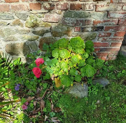Clos St Vaast Près Et Port * Saint-Vaast-la-Hougue